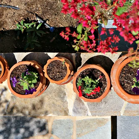 Proteas & Ájosz Prokópiosz