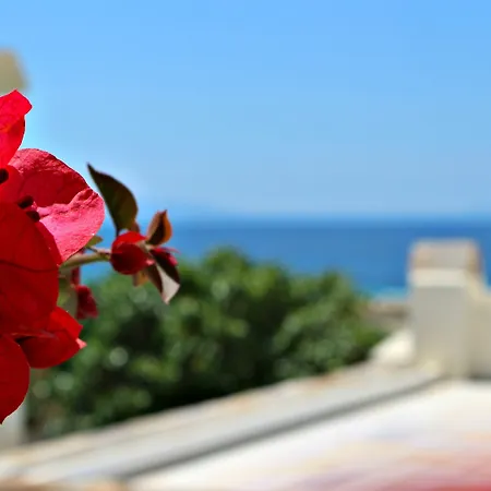 Hotel Proteas & Agios Prokopios (Naxos)