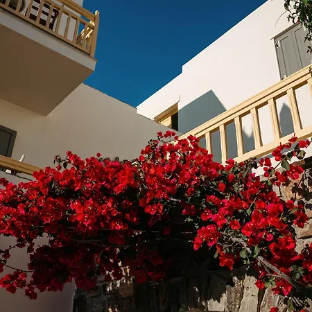 Proteas & Hotel Agios Prokopios (Naxos)