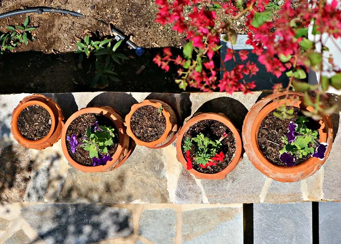 Proteas & Agios Prokopios (Naxos)