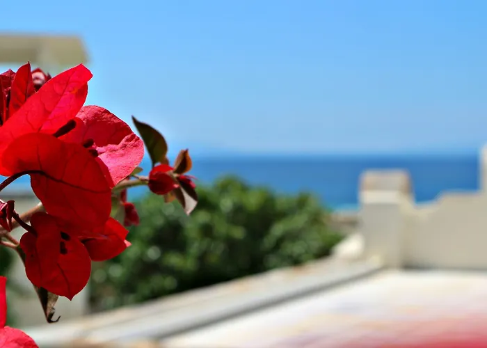 Hotell Proteas & Agios Prokopios (Naxos)